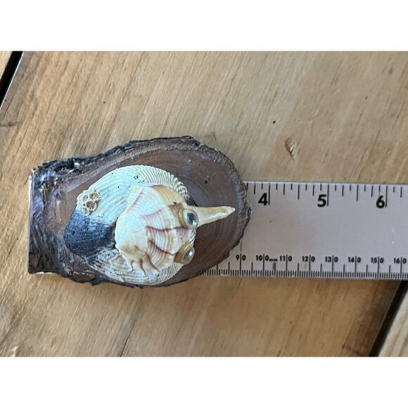 Vintage Novelty Knick-Knack. Bird made out of sea shells on wood. Beach Nautical - Picture 8 of 9